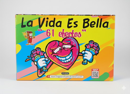 CAJA LA VIDA ES BELLA 61 TIROS